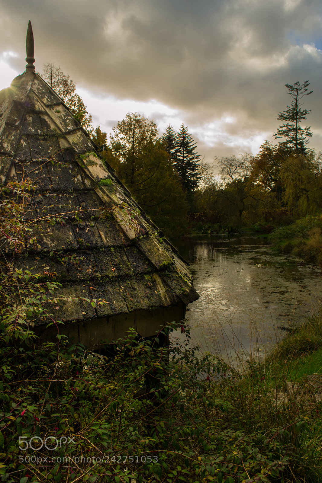 Nikon D3100 sample photo. Untitled photography