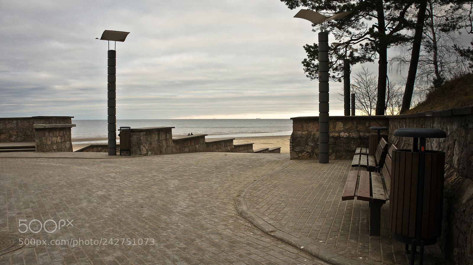 Sony Alpha NEX-5 sample photo. Gray january day photography