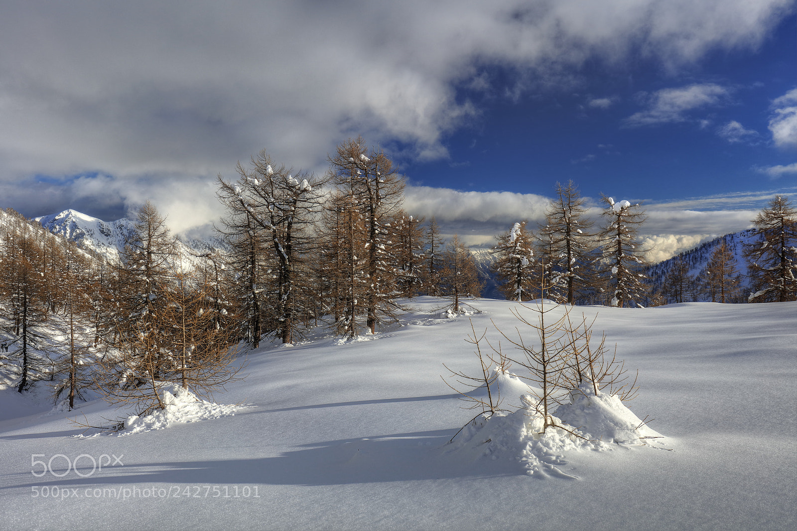 Canon EOS 5DS R sample photo. Monscera alp, winter dressed photography