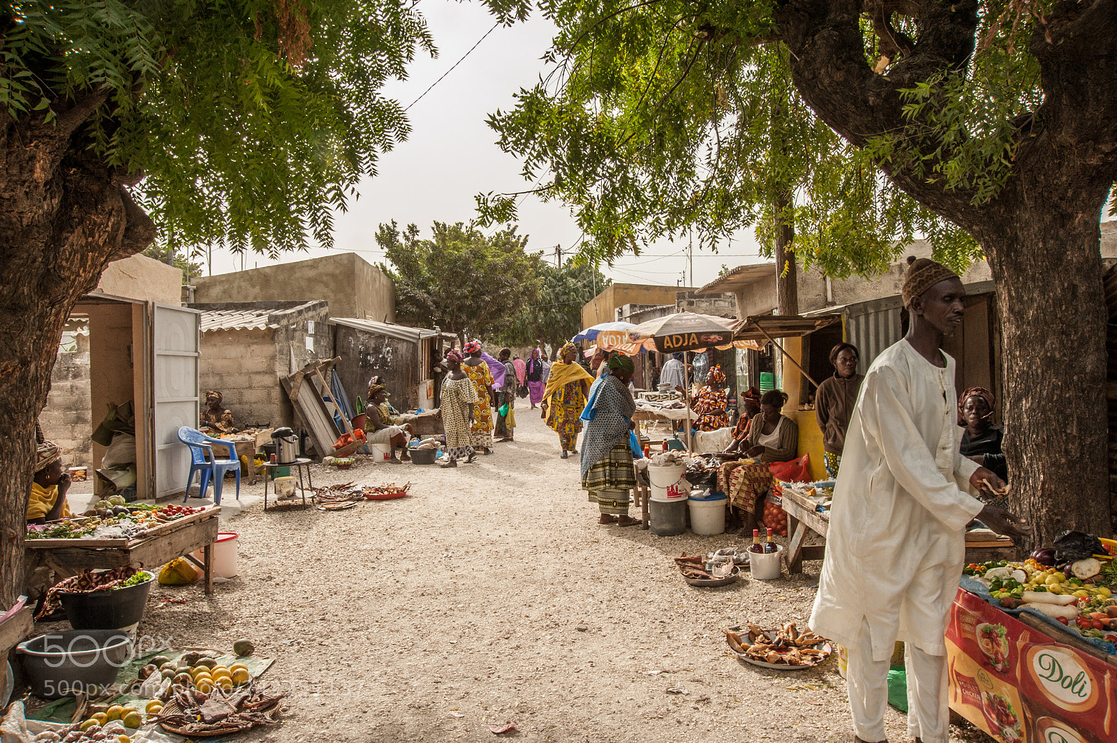 Nikon D700 sample photo. Senegal photography