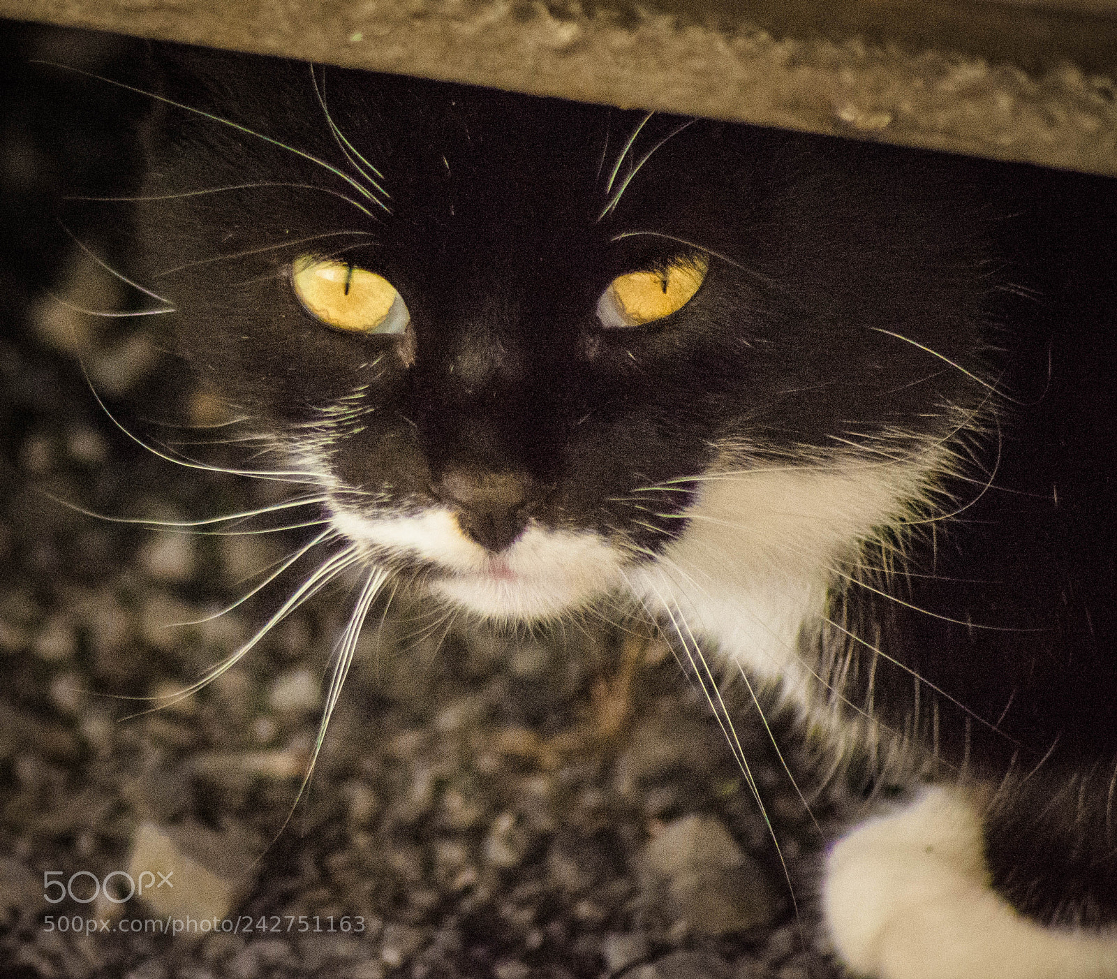 Nikon D7100 sample photo. Untitled photography