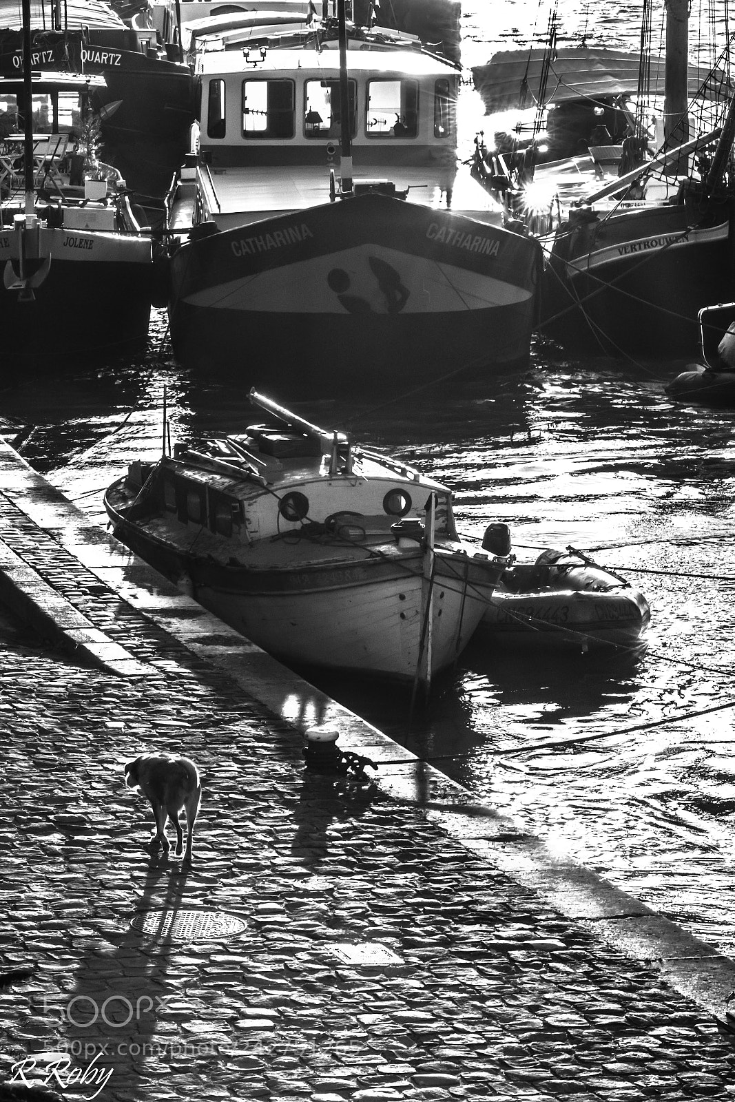Nikon D5500 sample photo. Paris balade photography
