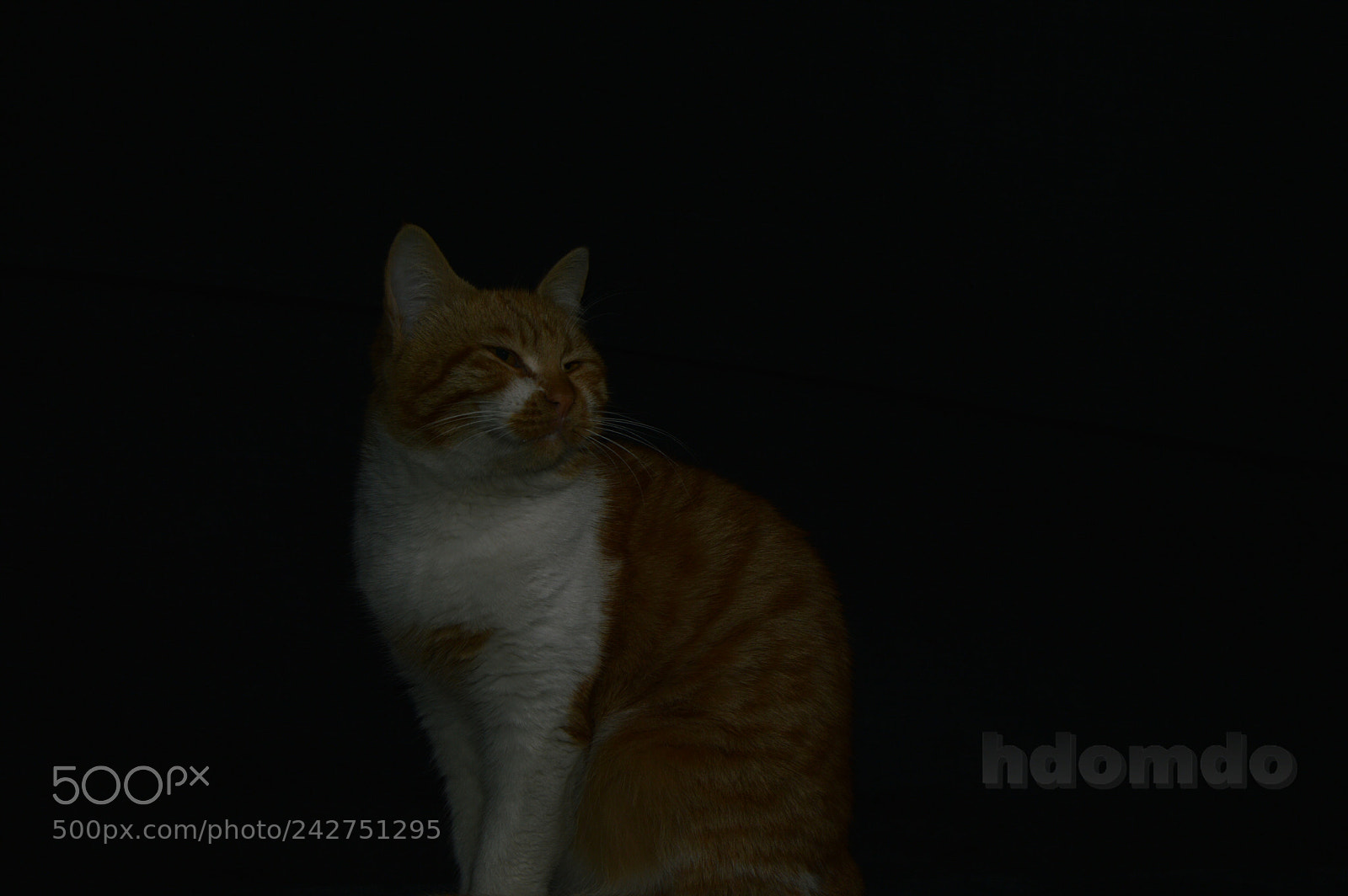 Nikon D3200 sample photo. بسس () photography