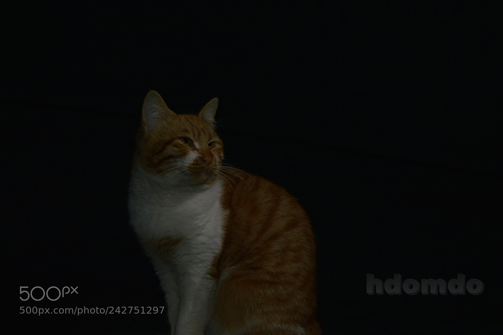 Nikon D3200 sample photo. بسس () photography