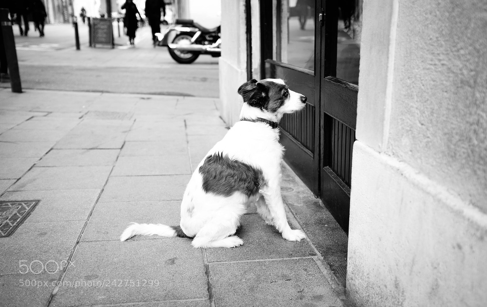 Fujifilm X100T sample photo. Paciencia.jpg photography