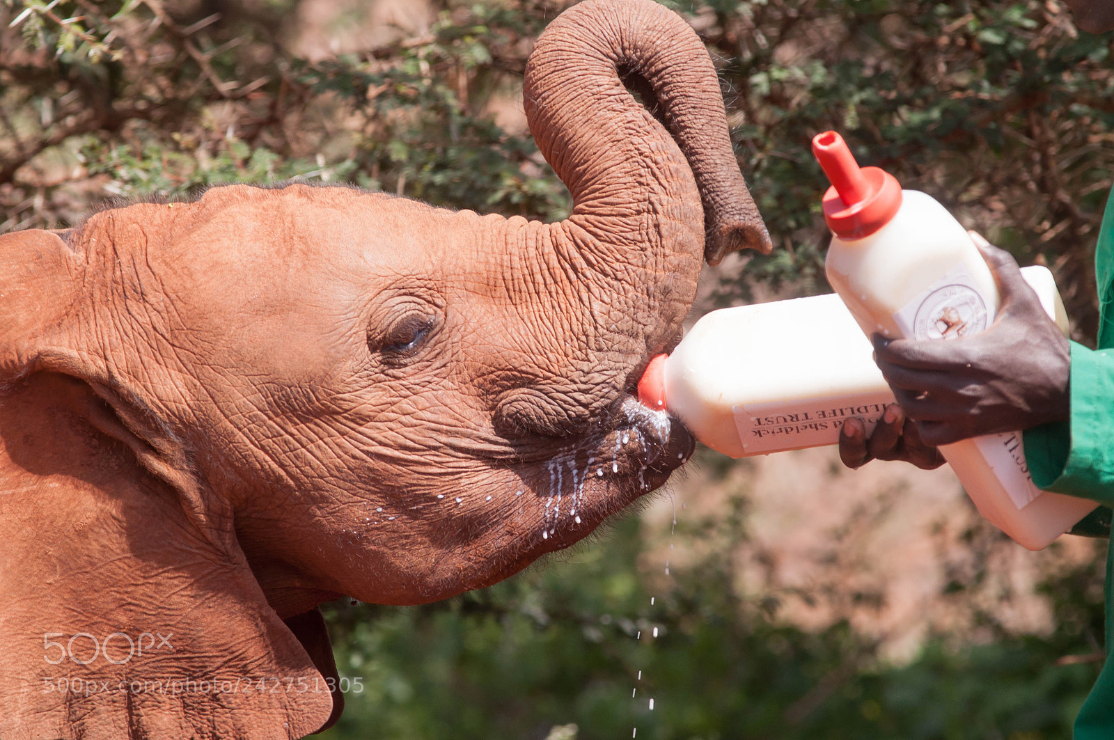 Nikon D90 sample photo. Let's feed this baby photography