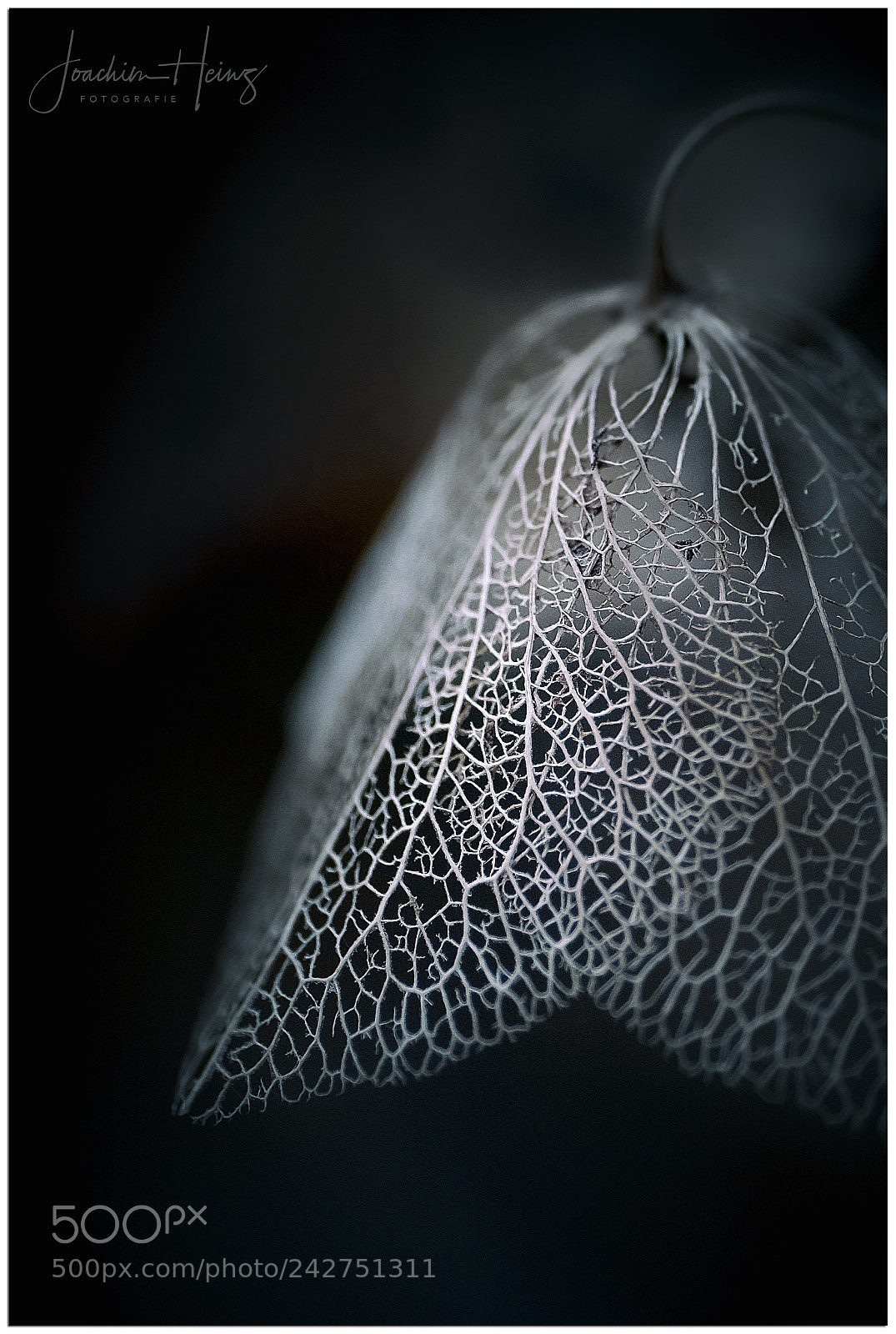 Fujifilm X-T1 sample photo. Faded photography