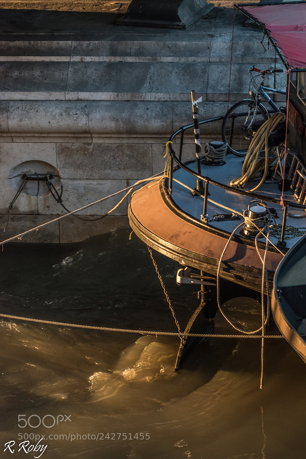 Nikon D5500 sample photo. Paris balade photography