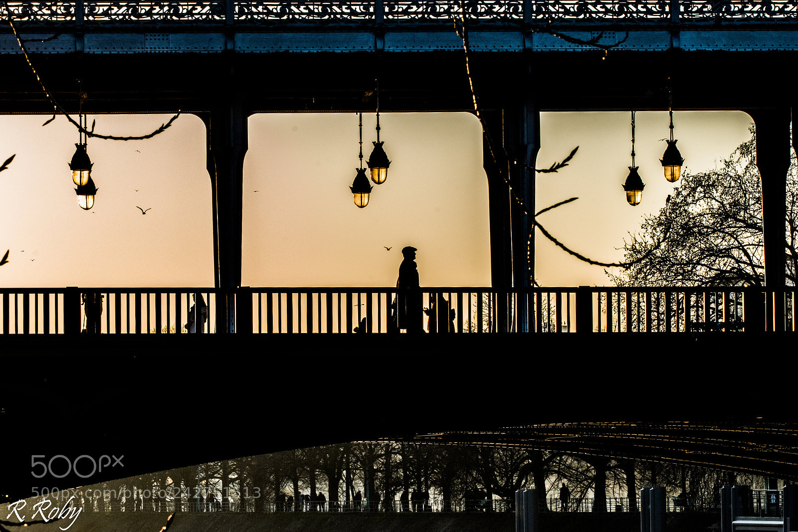 Nikon D5500 sample photo. Paris balade photography