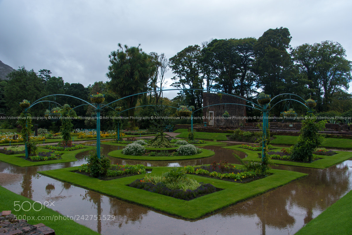 Nikon D7100 sample photo. After the rain photography