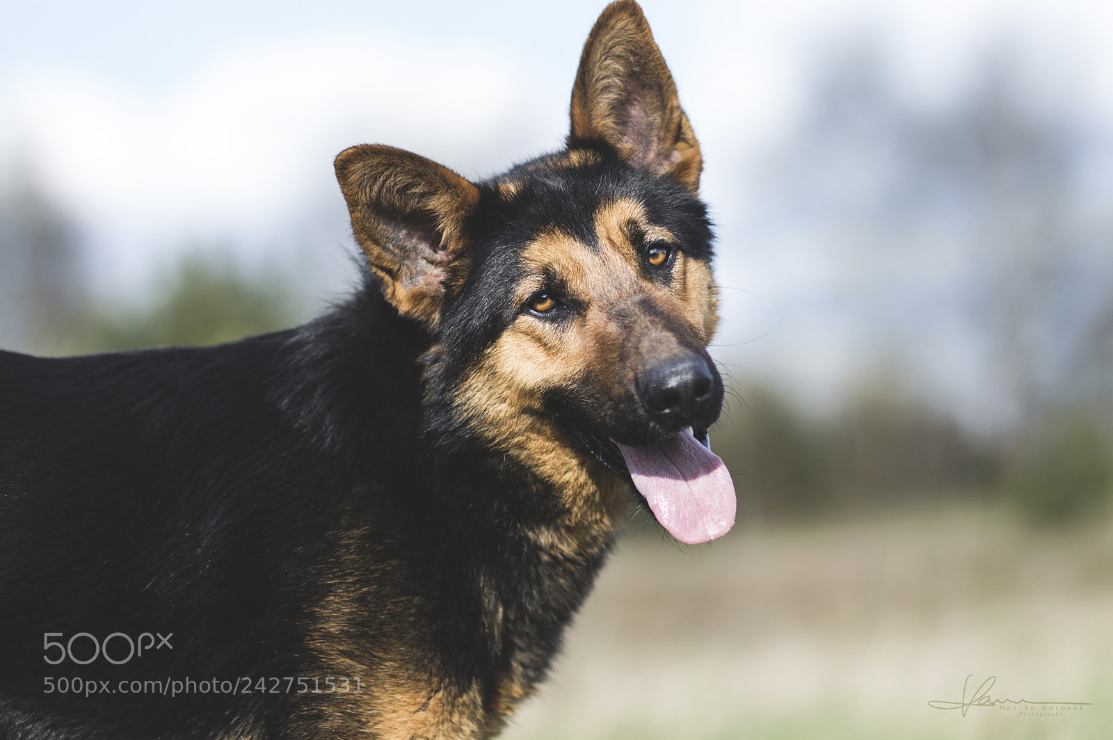 Nikon D3200 sample photo. Portrait photography