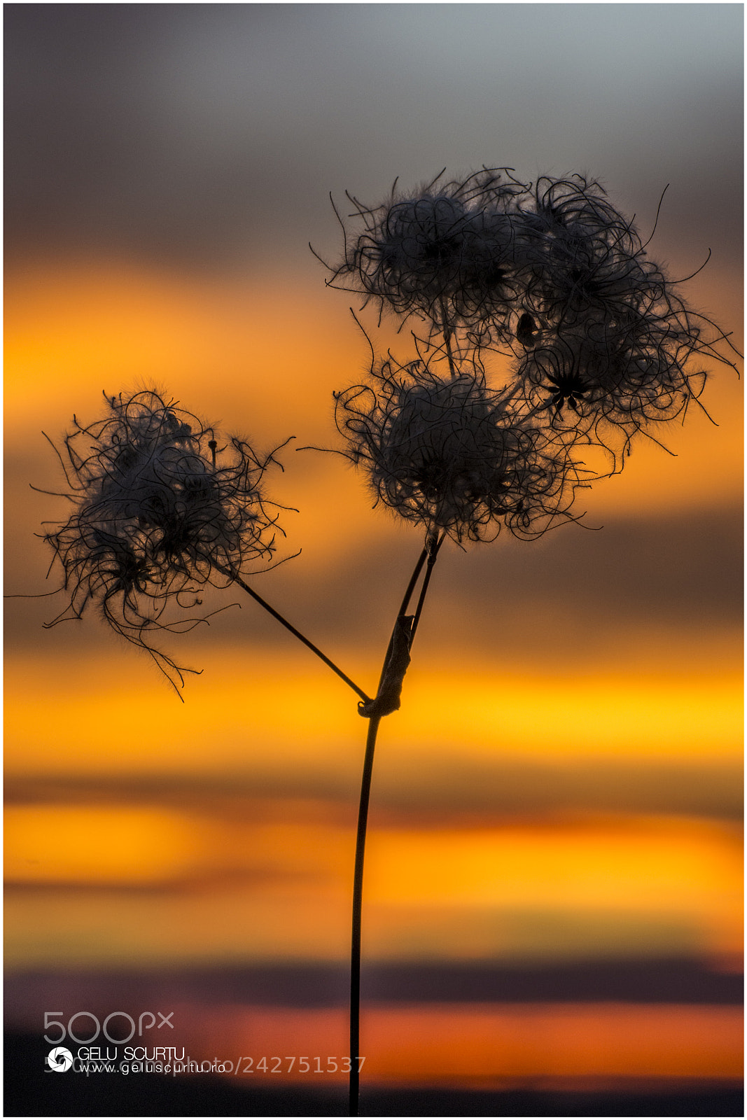 Nikon D7200 sample photo. Sunrise photography