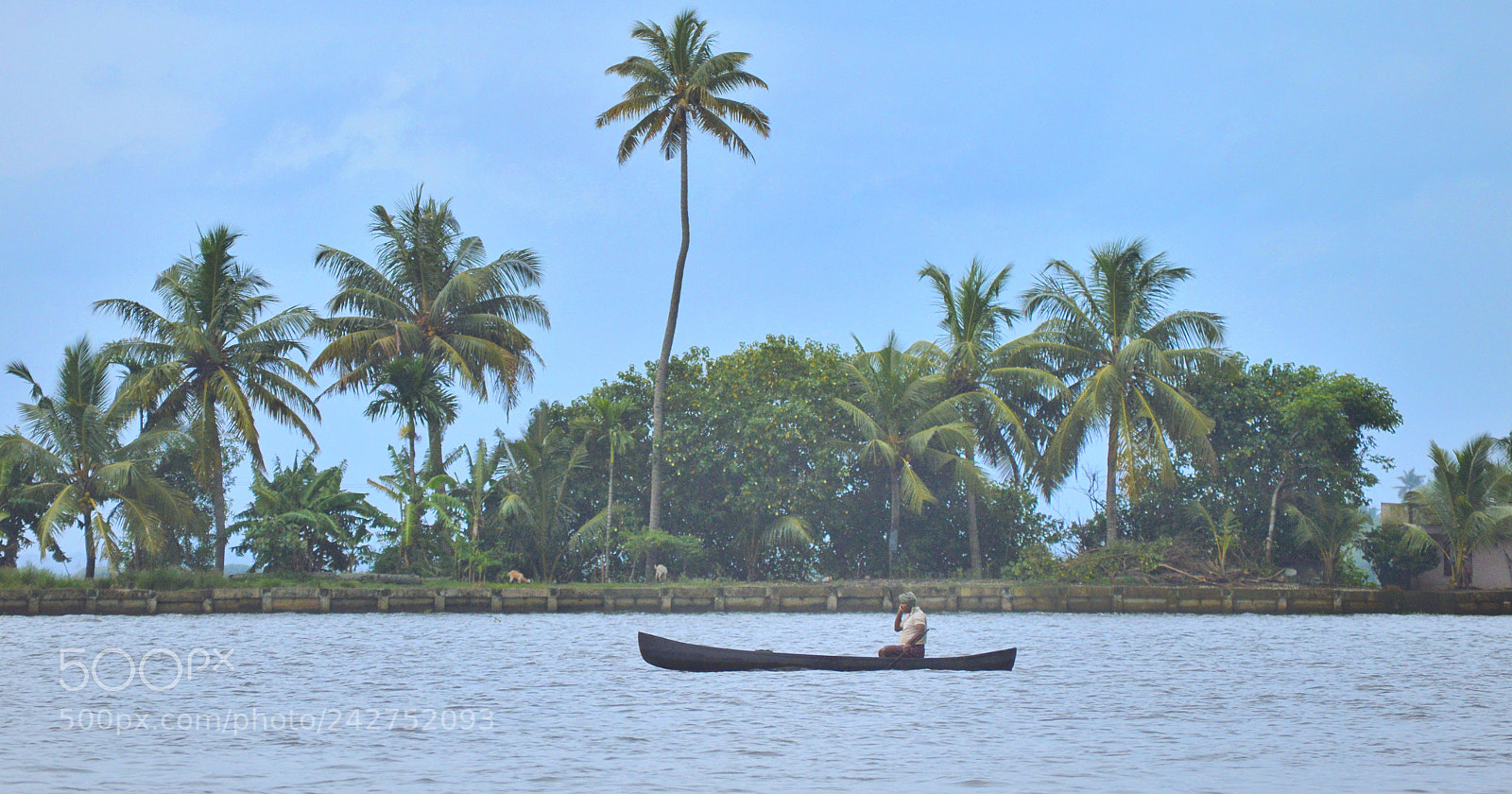 Nikon D3200 sample photo. Always connected photography