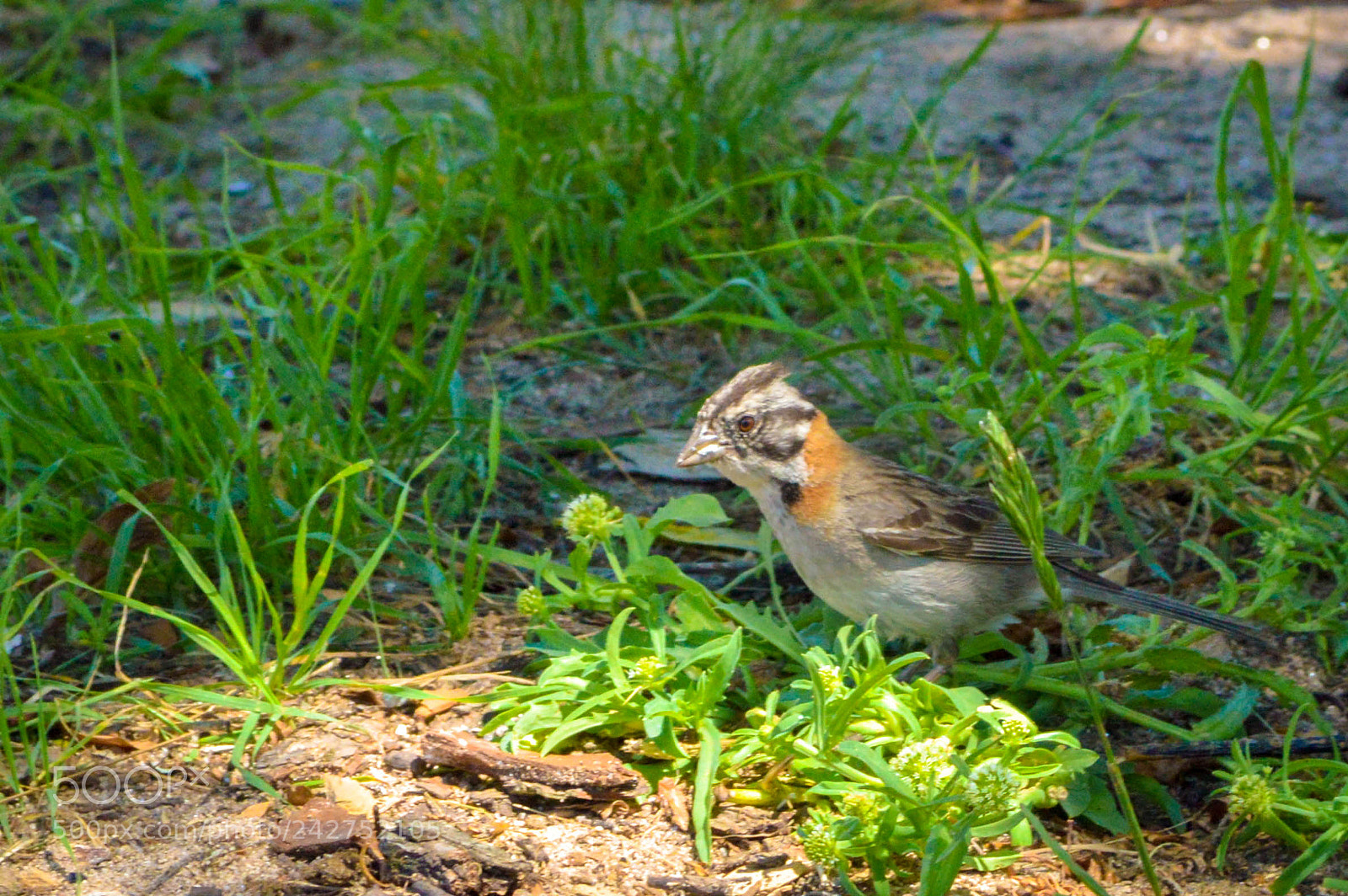 Nikon D3200 sample photo. Dsc photography