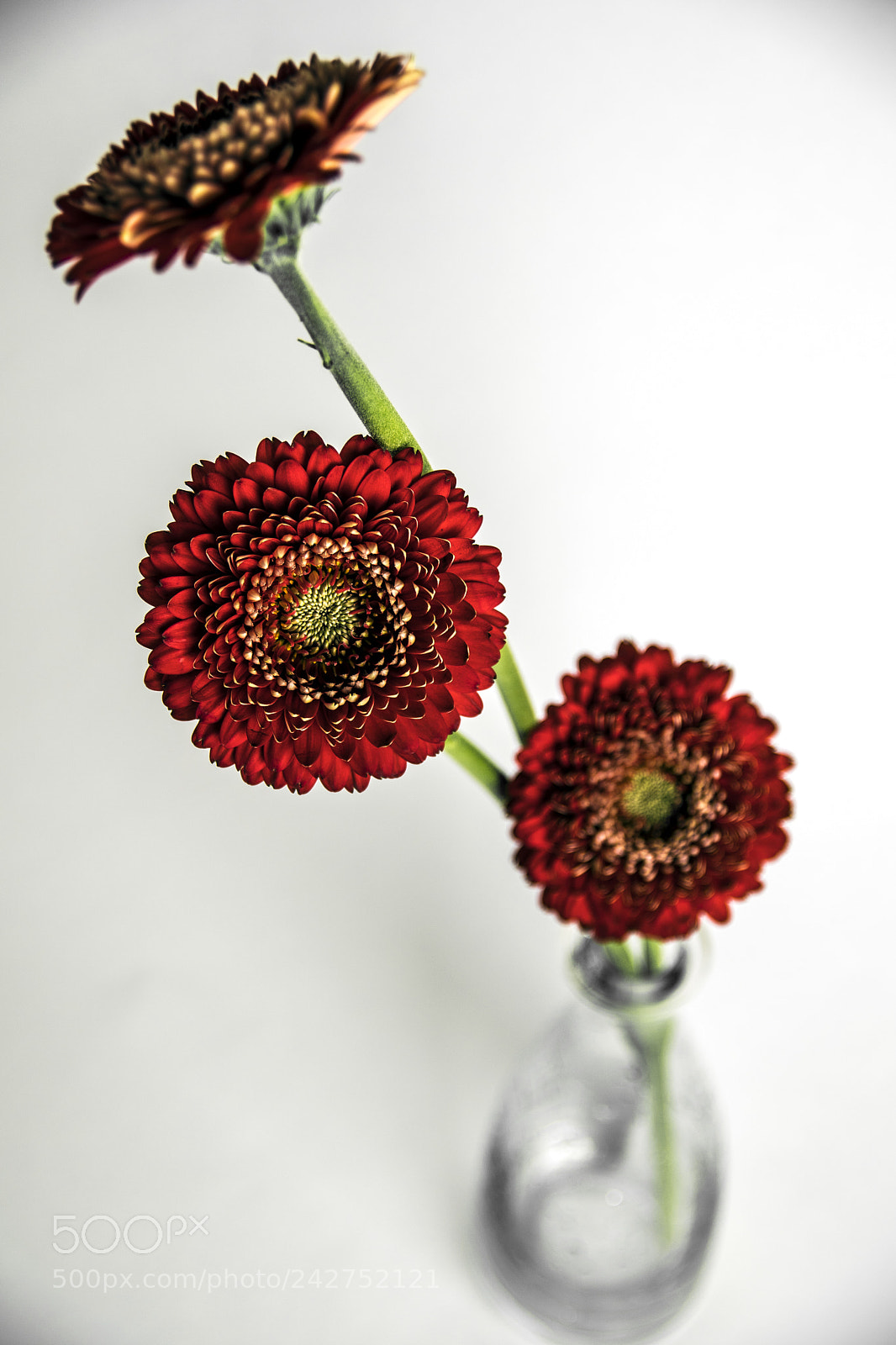 Pentax K-70 sample photo. Together photography