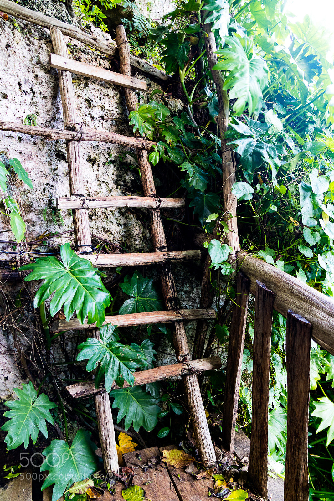 Canon EOS M3 sample photo. Ladder to view point photography