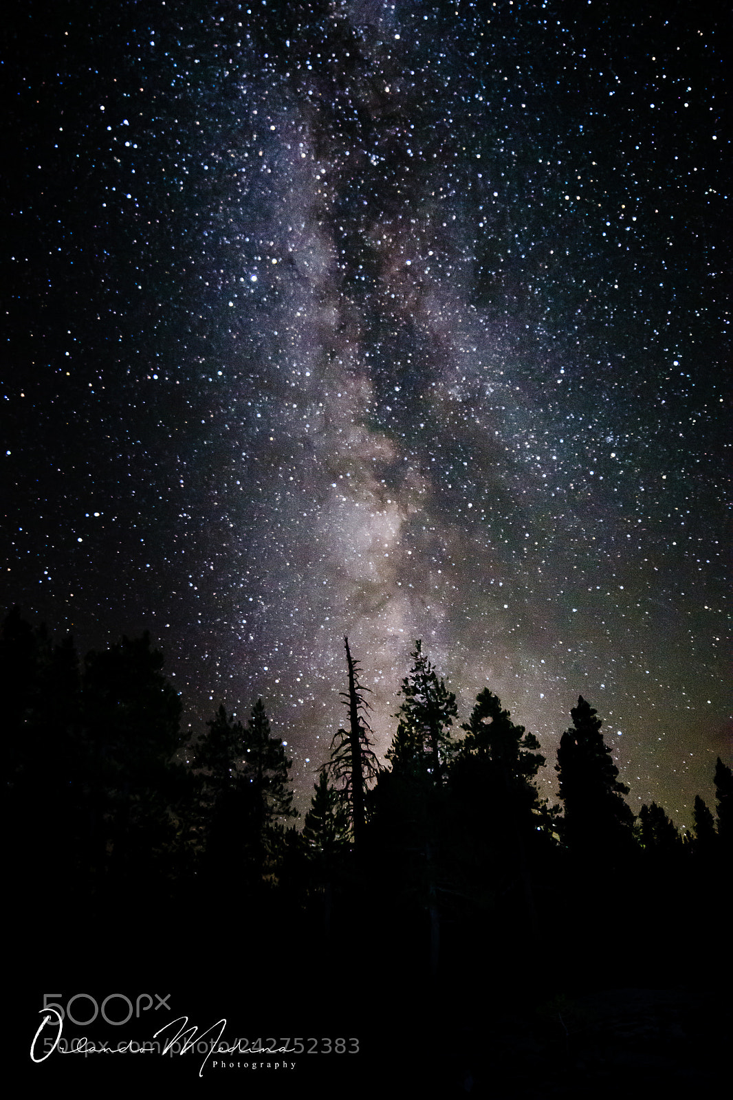 Nikon D5100 sample photo. Yosemite milkyway photography