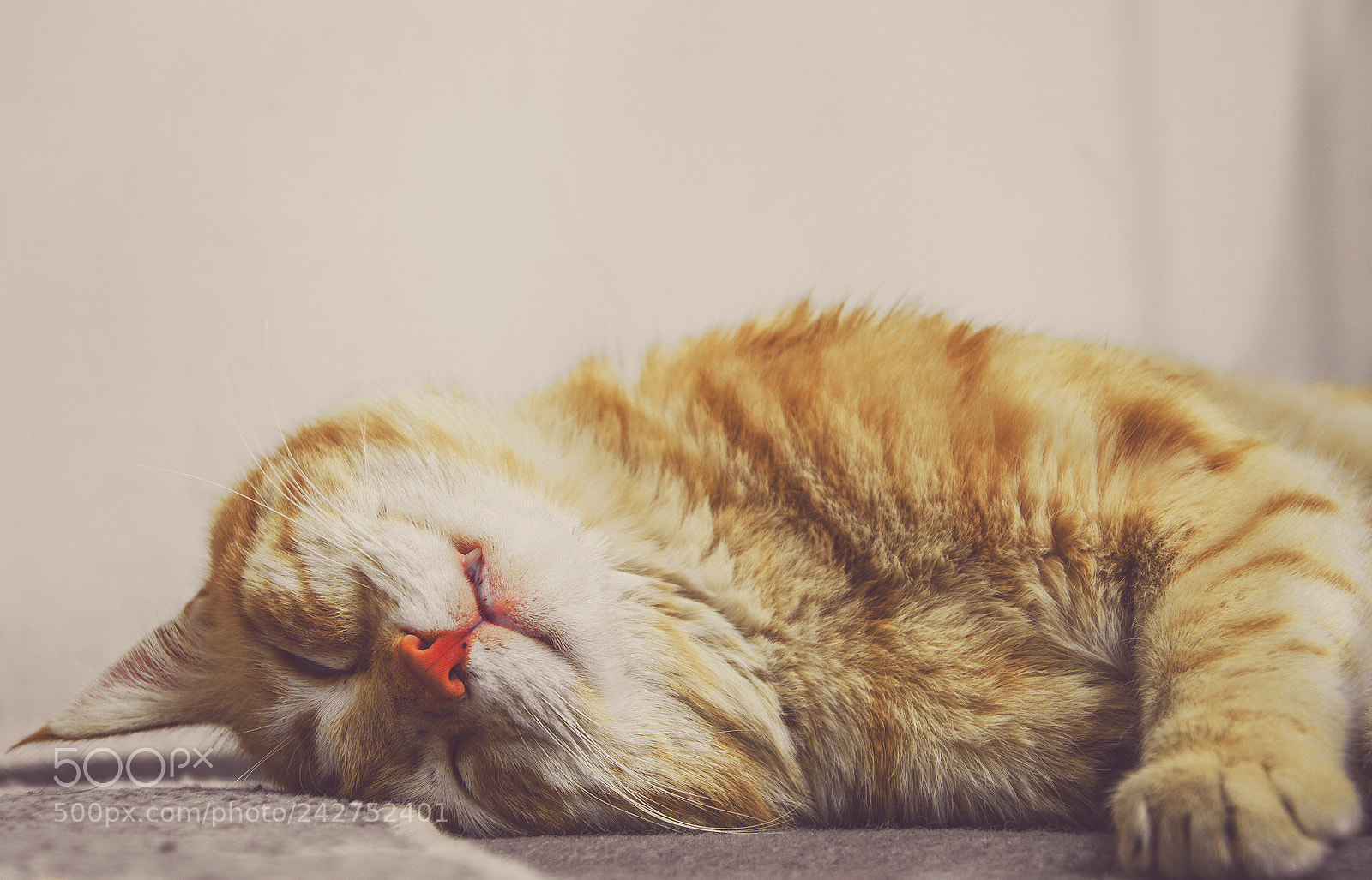 Nikon D3200 sample photo. M9 photography