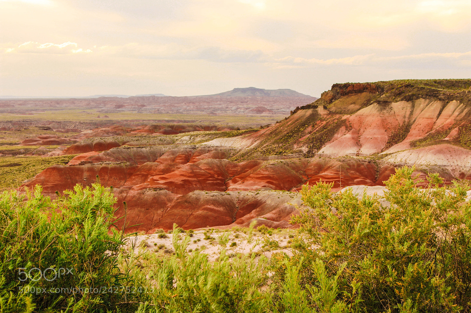 Canon EOS 700D (EOS Rebel T5i / EOS Kiss X7i) sample photo. Painted desert, arizona photography