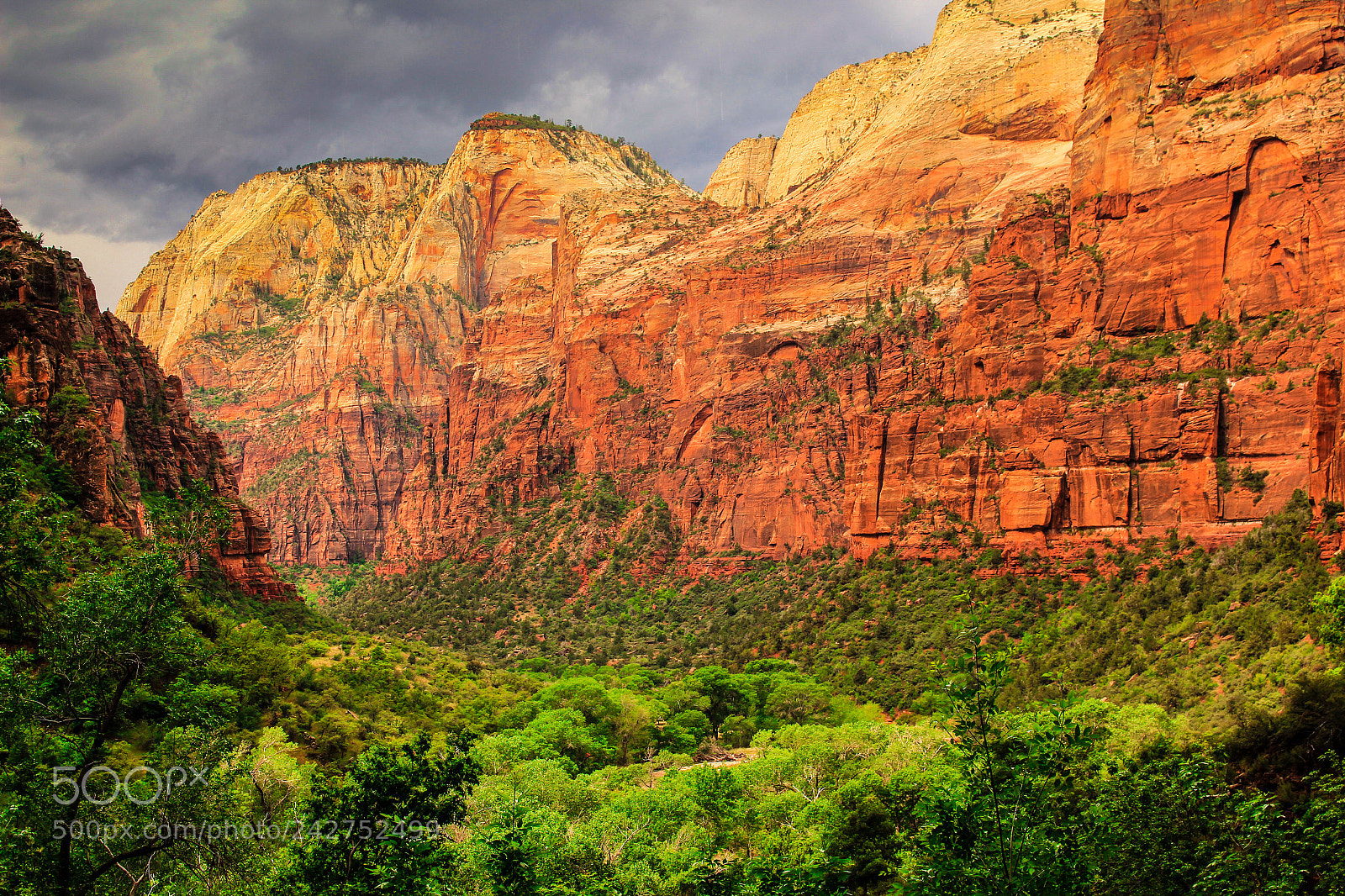 Canon EOS 700D (EOS Rebel T5i / EOS Kiss X7i) sample photo. Zion canyon, zion national photography