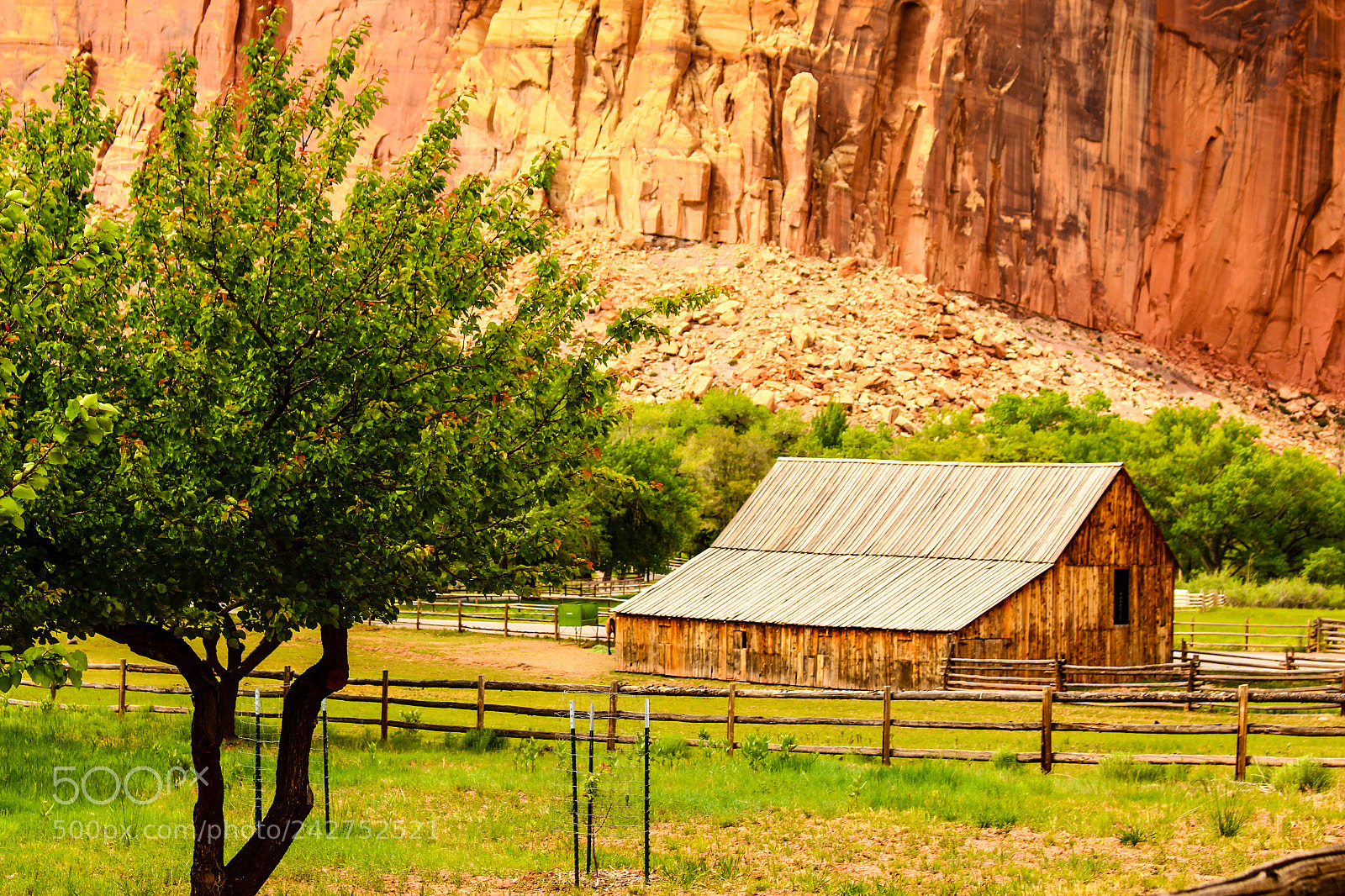 Canon EOS 700D (EOS Rebel T5i / EOS Kiss X7i) sample photo. Abandoned barn at capitol photography