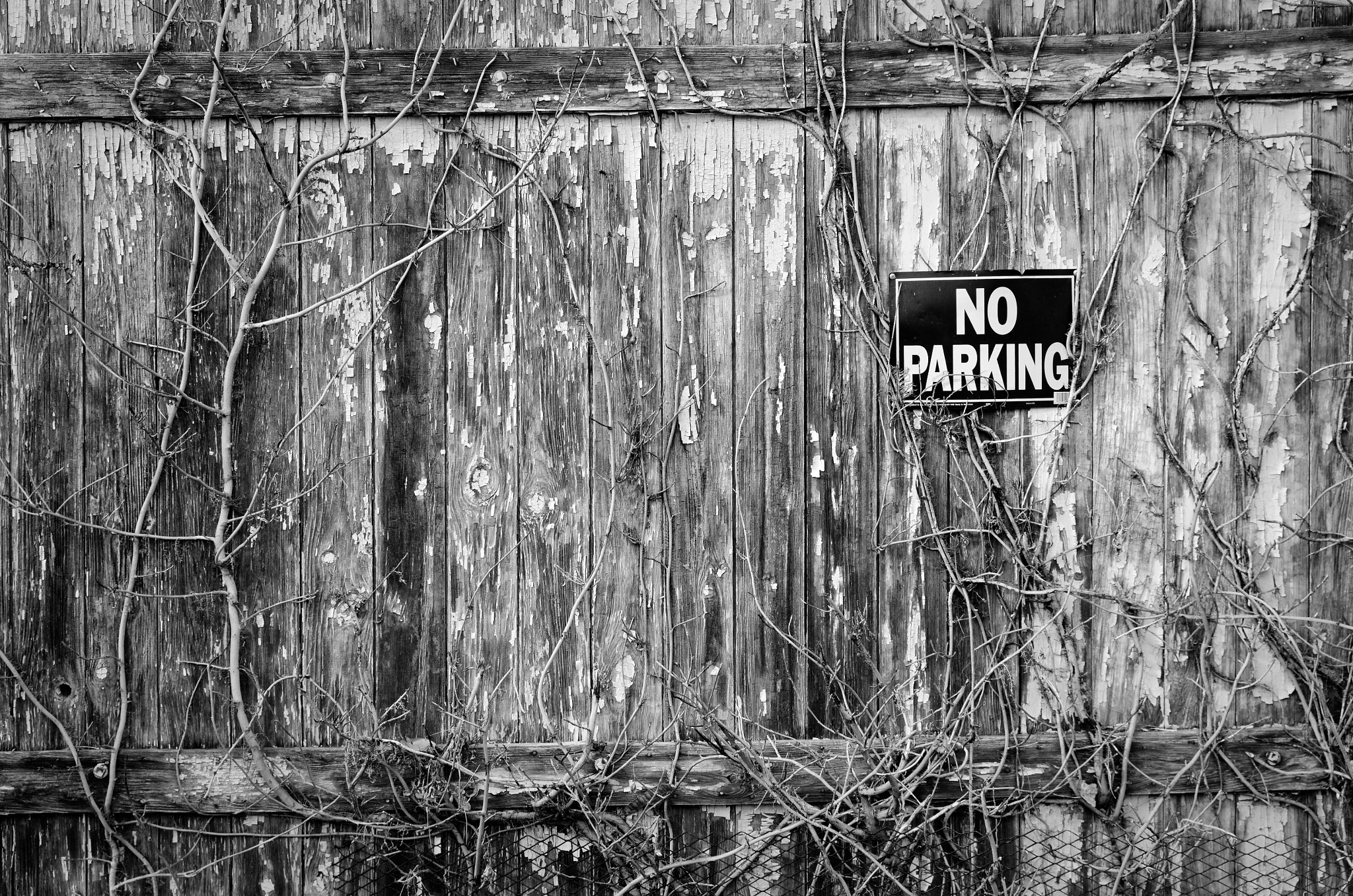Sigma 17-50mm F2.8 EX DC OS HSM sample photo. They really mean it photography