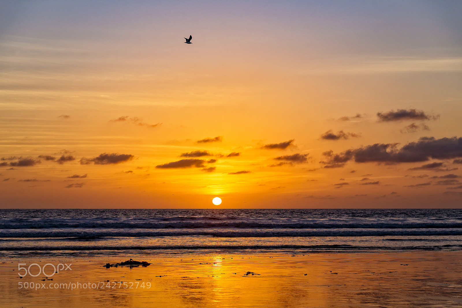 Nikon D600 sample photo. Sunset in oceanside photography