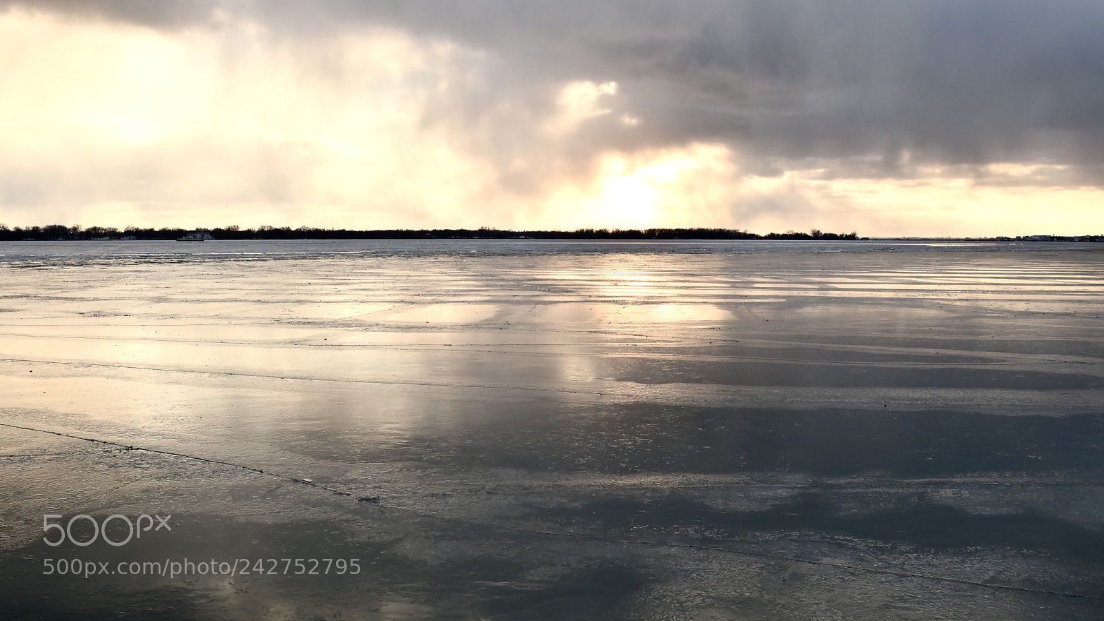 Nikon D5500 sample photo. Winter’s light photography