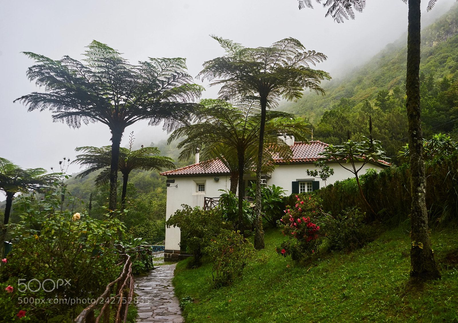 Sony a7 sample photo. Ribeiro frio photography