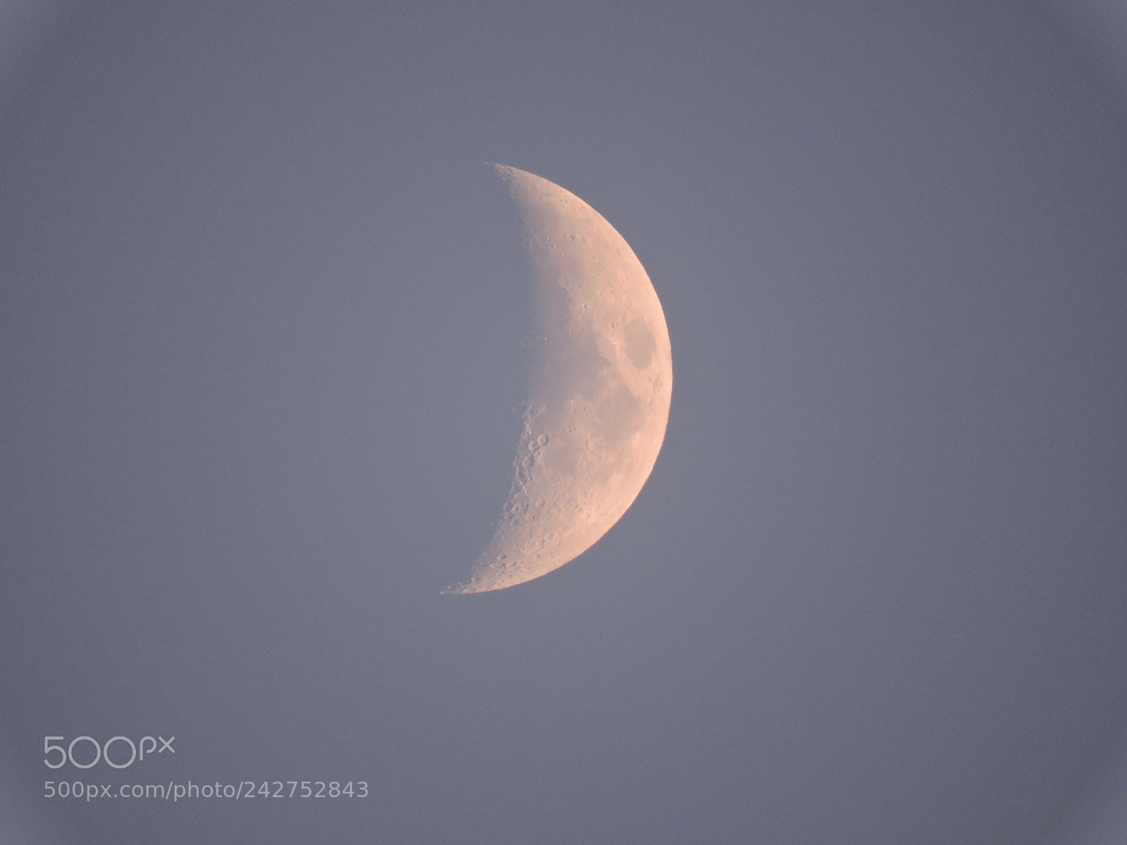 Nikon Coolpix P600 sample photo. The moon daytime photography