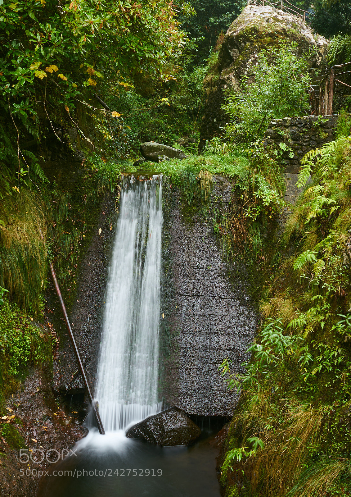 Sony a7 sample photo. Ribeiro frio waterfall photography