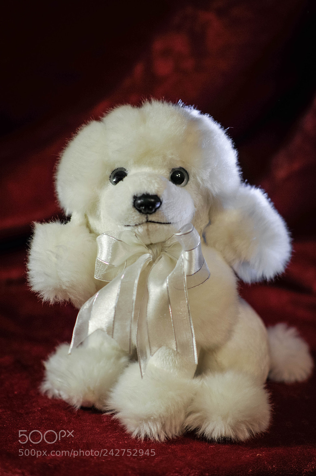 Nikon D300 sample photo. Toy white doggy photography