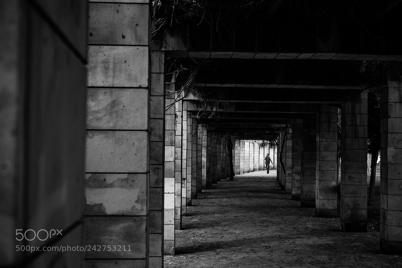 Fujifilm X-T10 sample photo. Bw123 photography