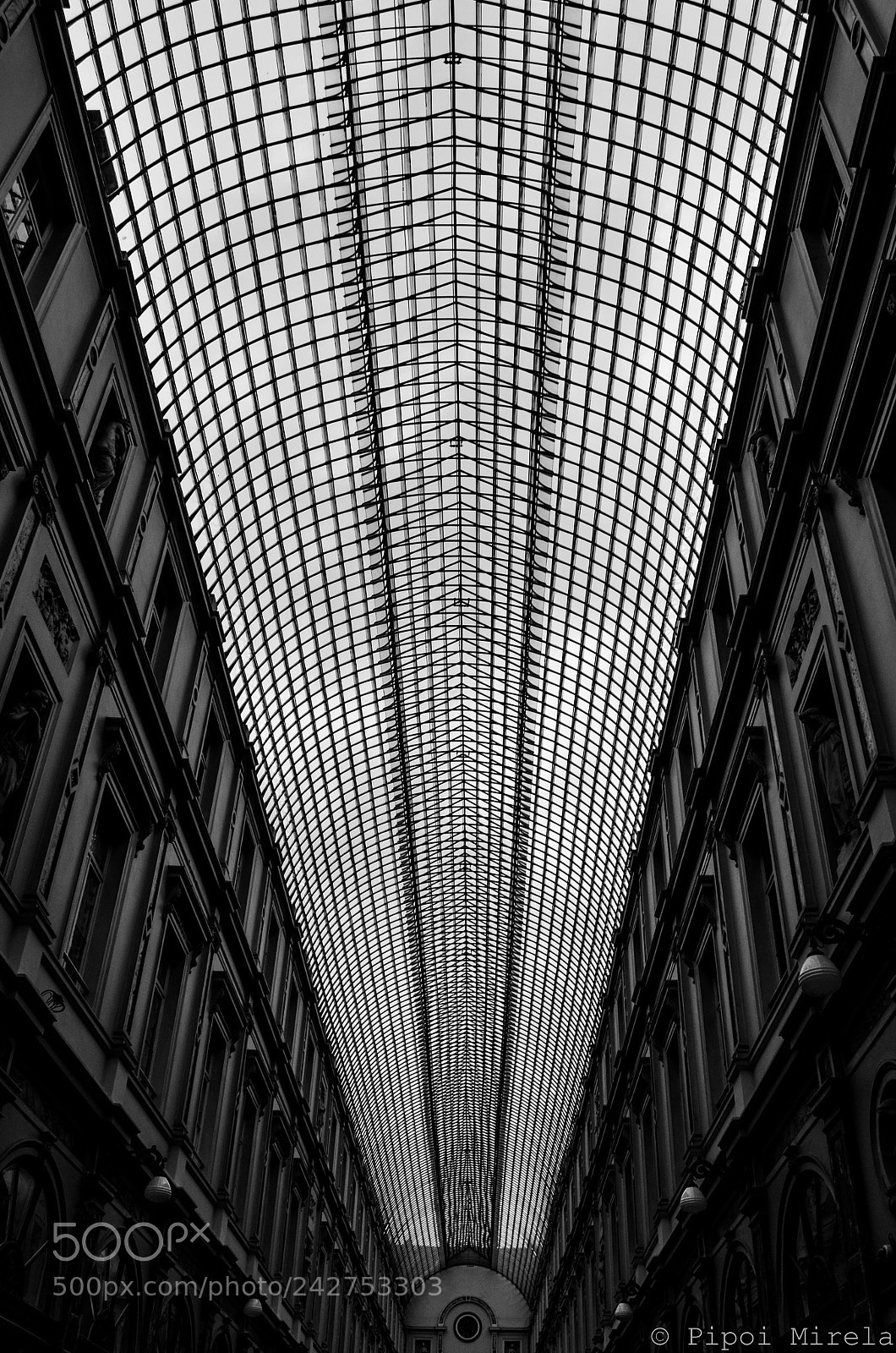 Nikon D5100 sample photo. Mirroring photography