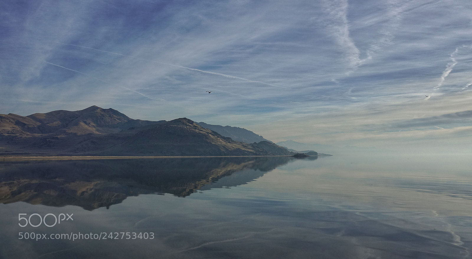 Sony Cyber-shot DSC-RX10 III sample photo. Antelope island, utah photography