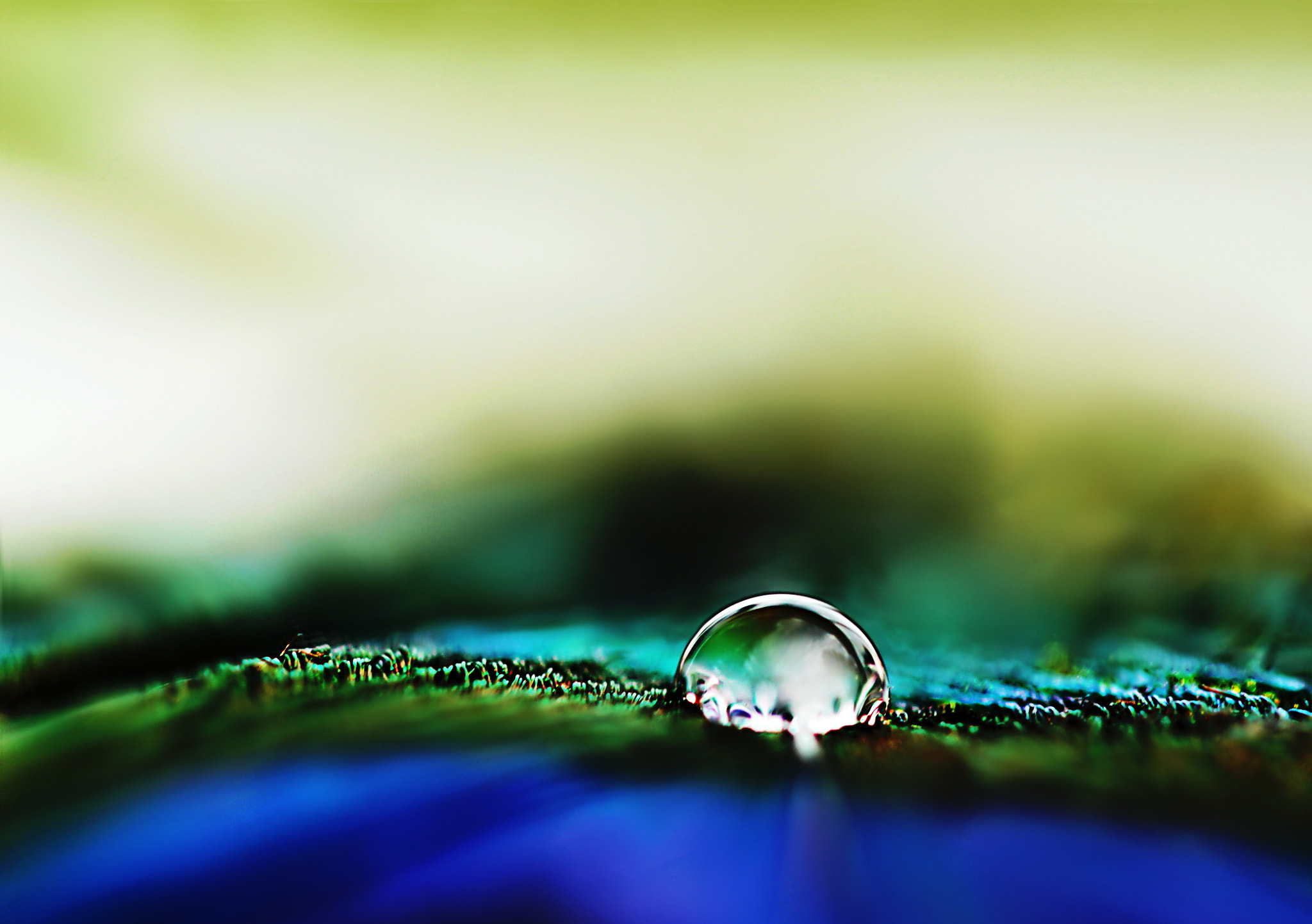 Canon EF 100mm F2.8 Macro USM sample photo. Silence photography