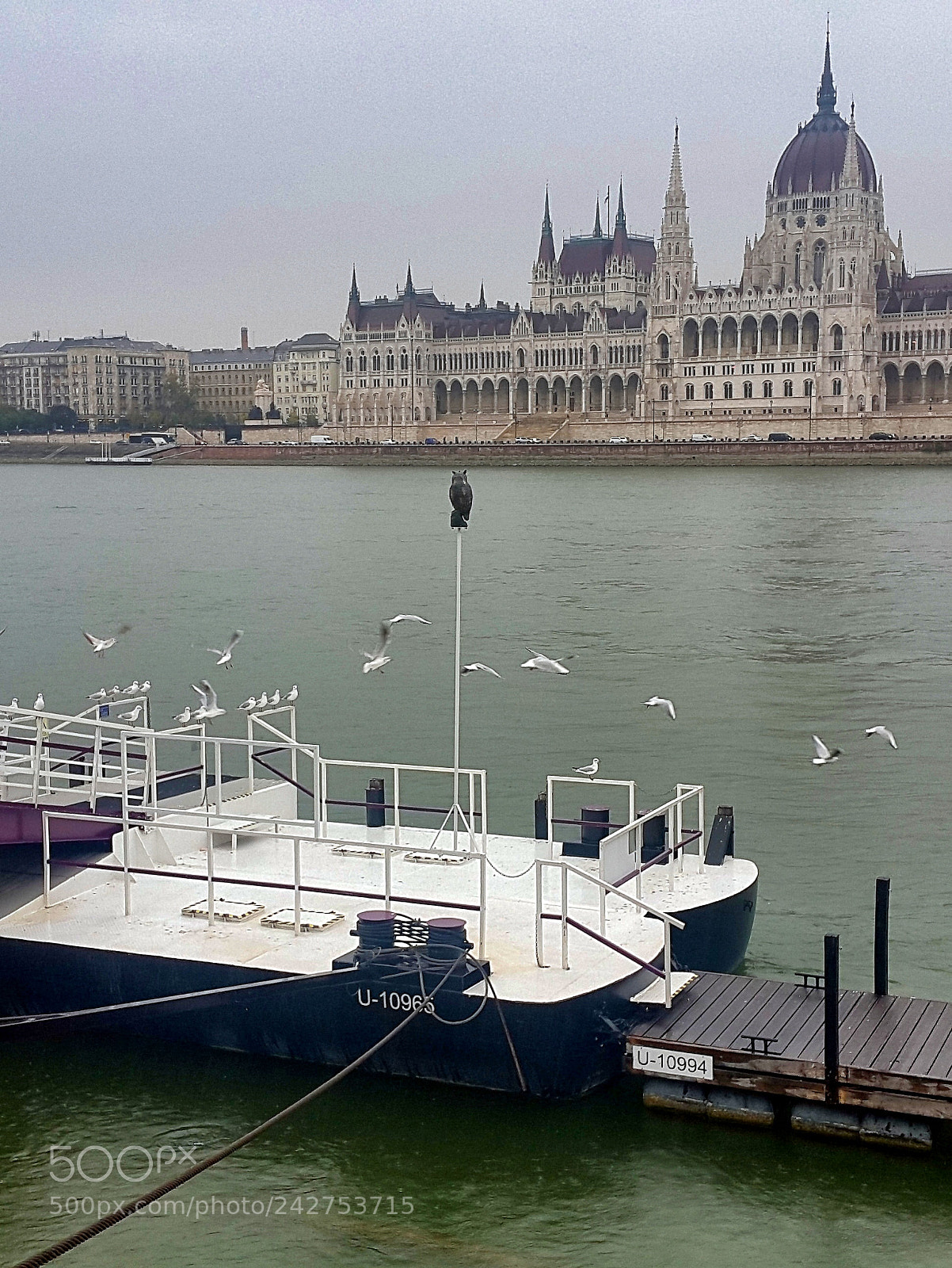 Samsung Galaxy Alpha sample photo. 29968709484.jpg photography