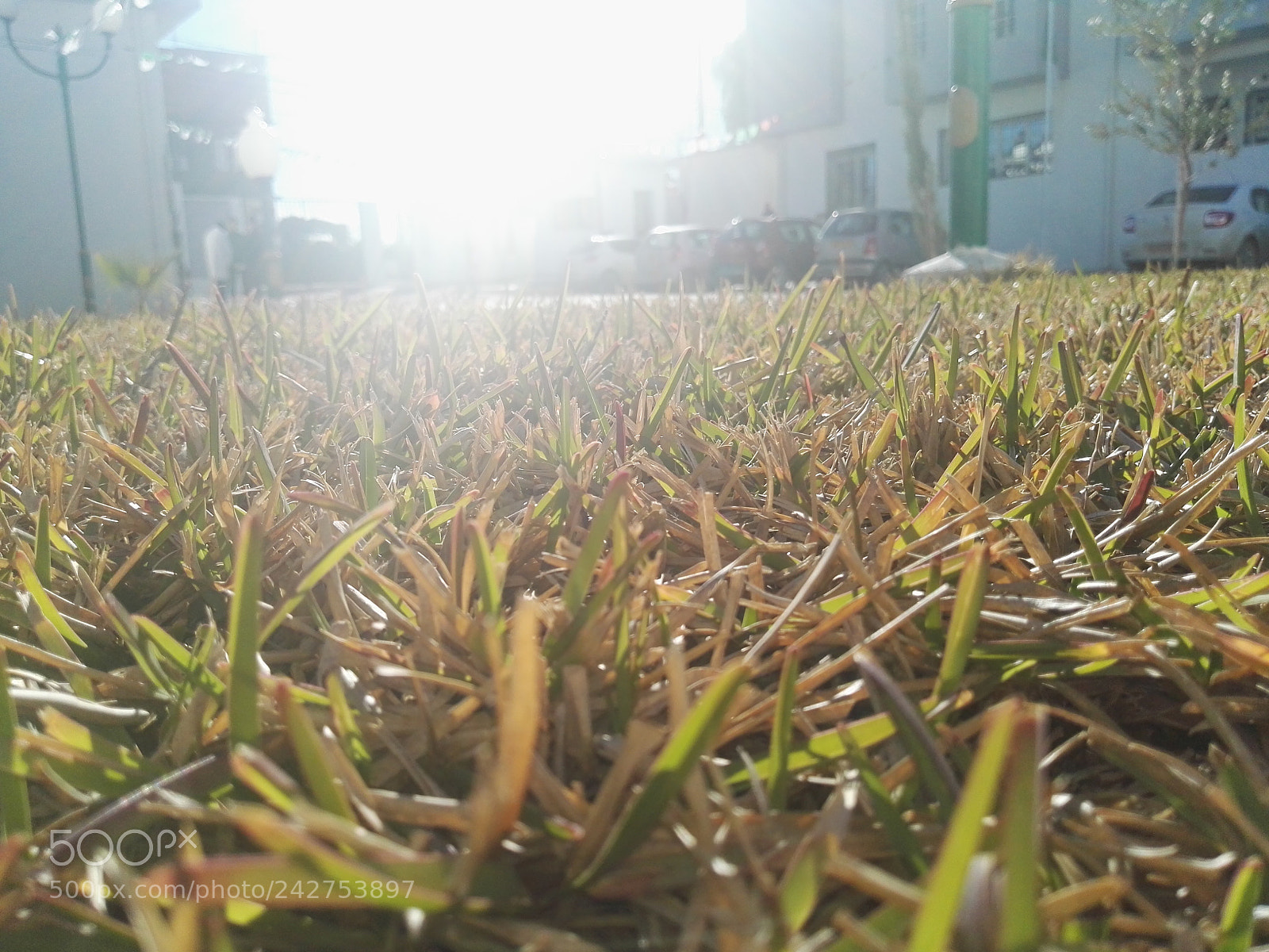 HUAWEI P8 sample photo. Untitled photography