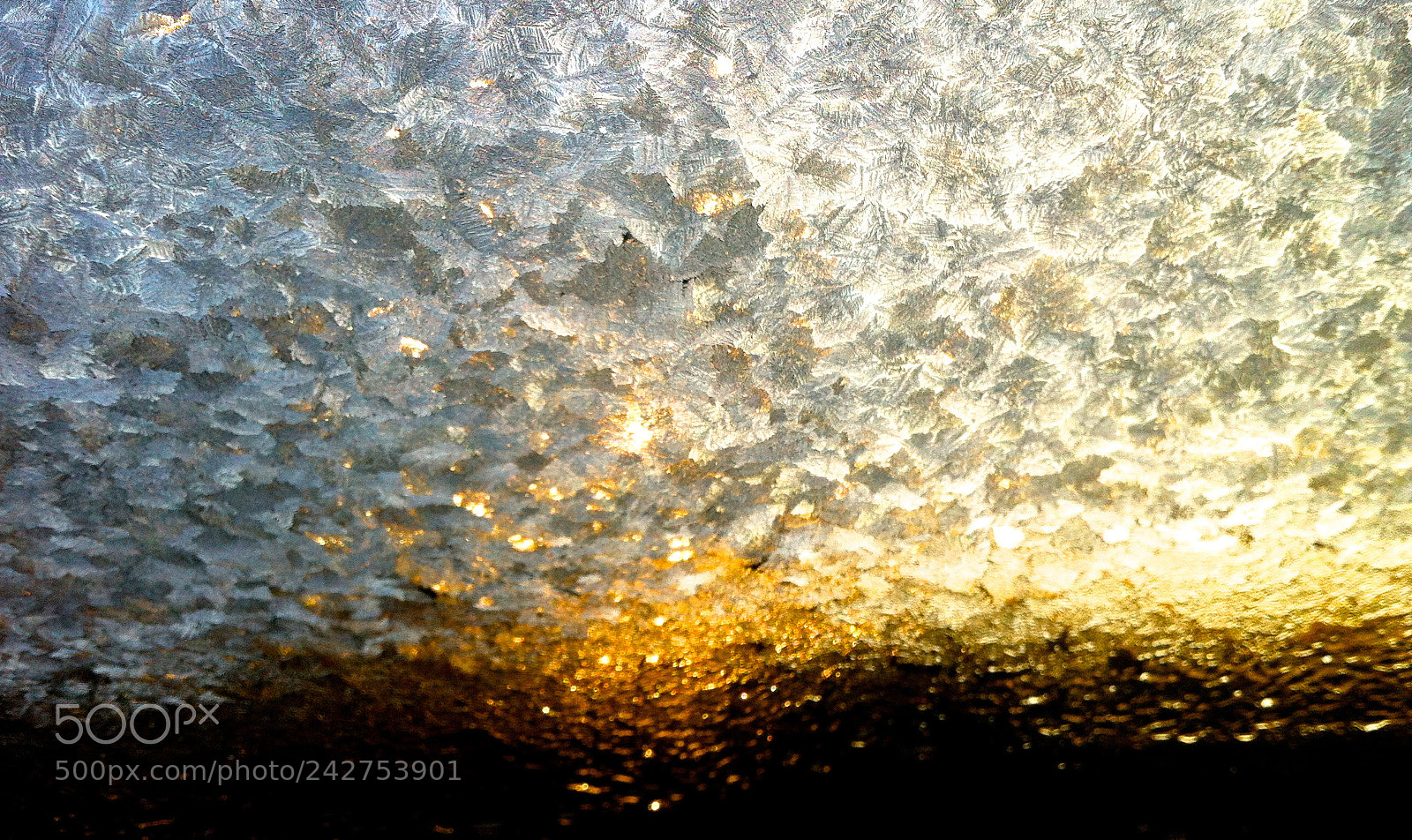 Apple iPhone 4 sample photo. Icy morning photography