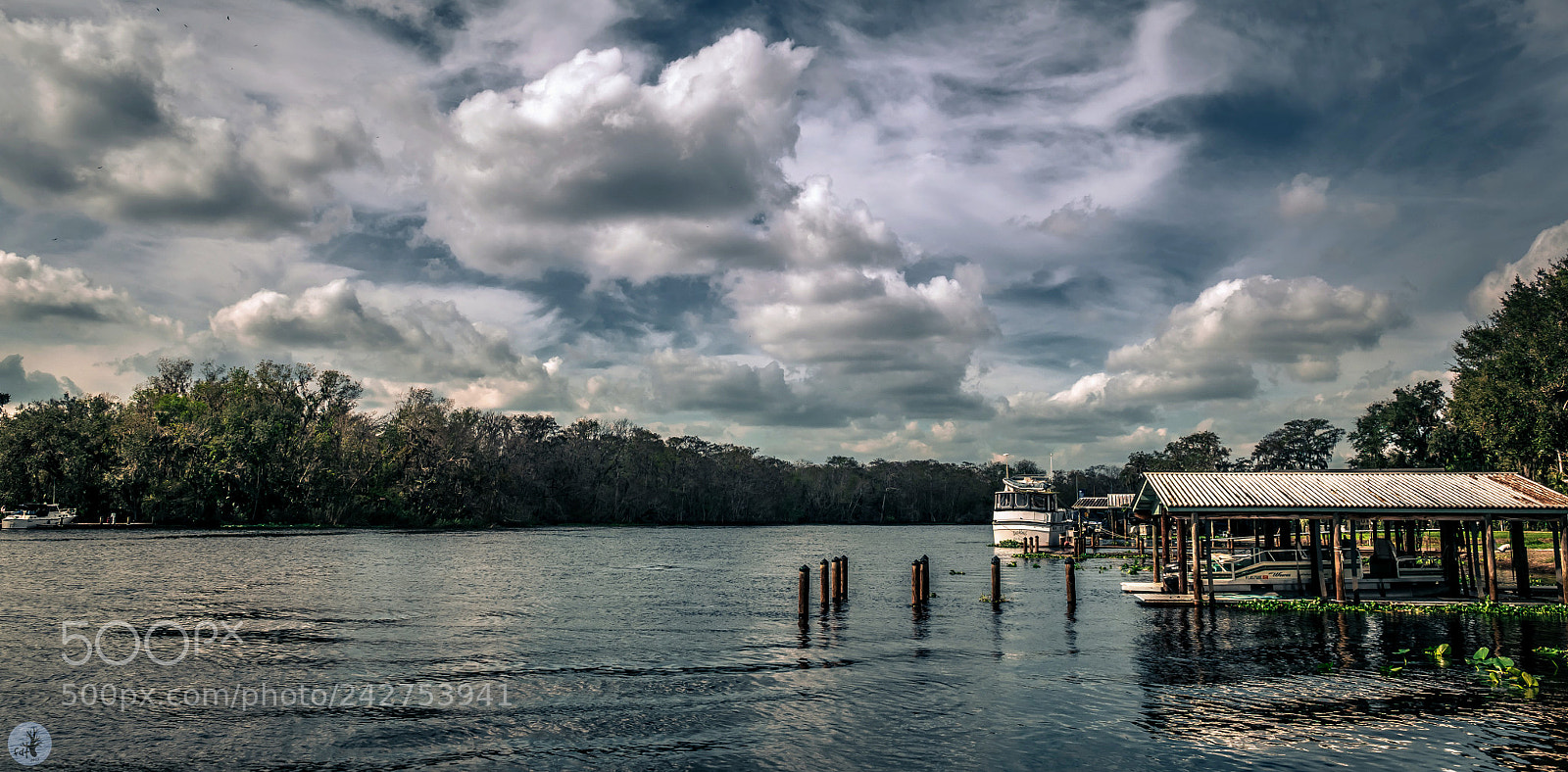 Samsung NX1 sample photo. Hontoon island (2) photography