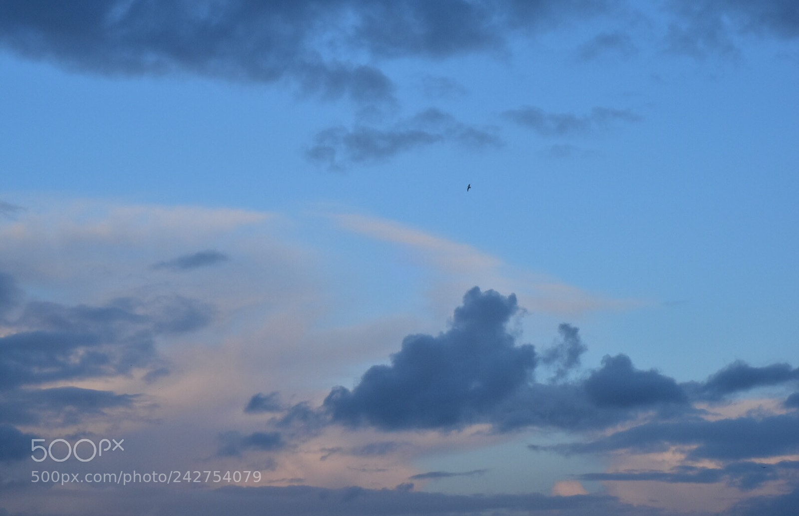 Nikon D5500 sample photo. Untitled photography