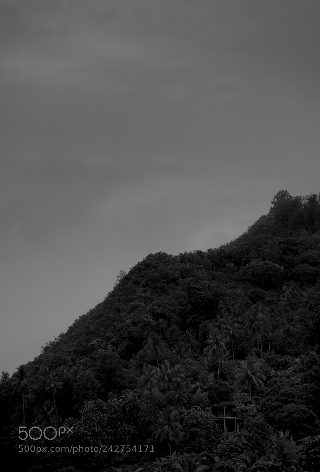 Olympus OM-D E-M10 II sample photo. Rain time photography