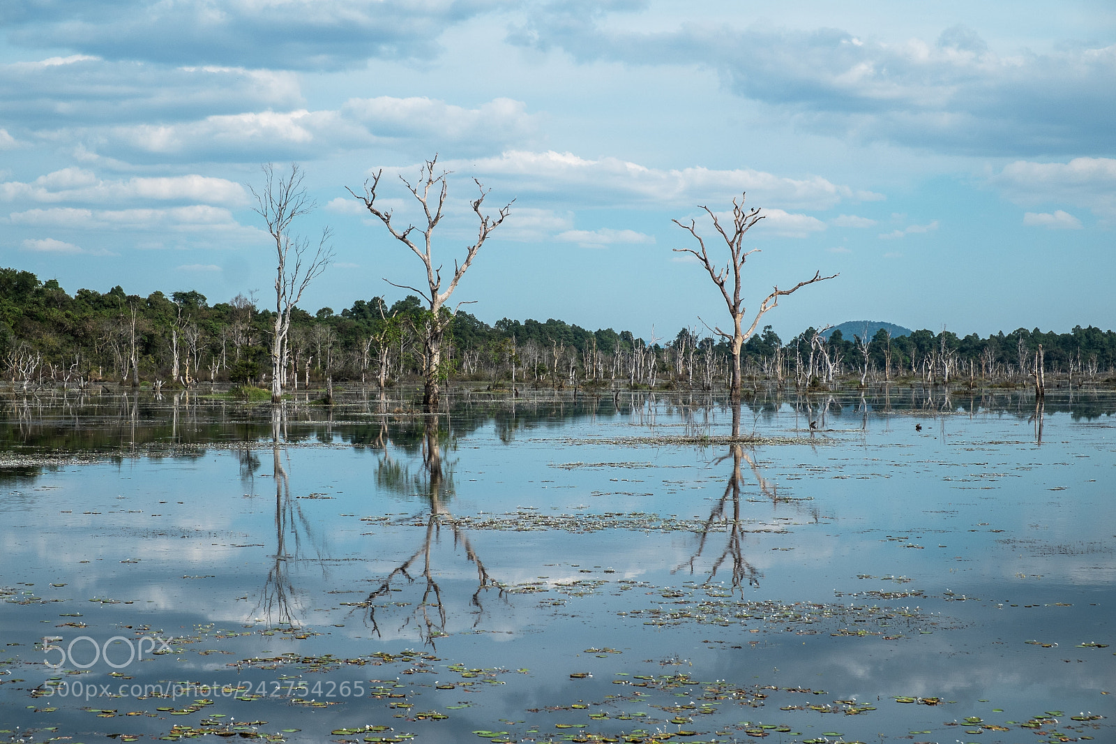 Fujifilm X-E1 sample photo. A lake at angkor photography