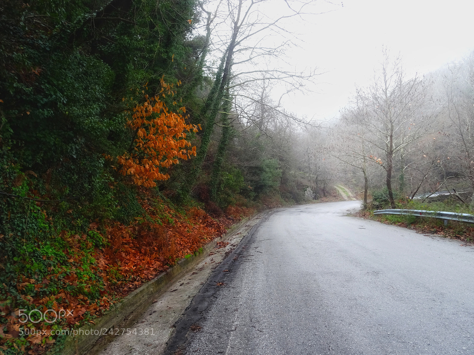 Sony DSC-HX60 sample photo. Through the mist photography