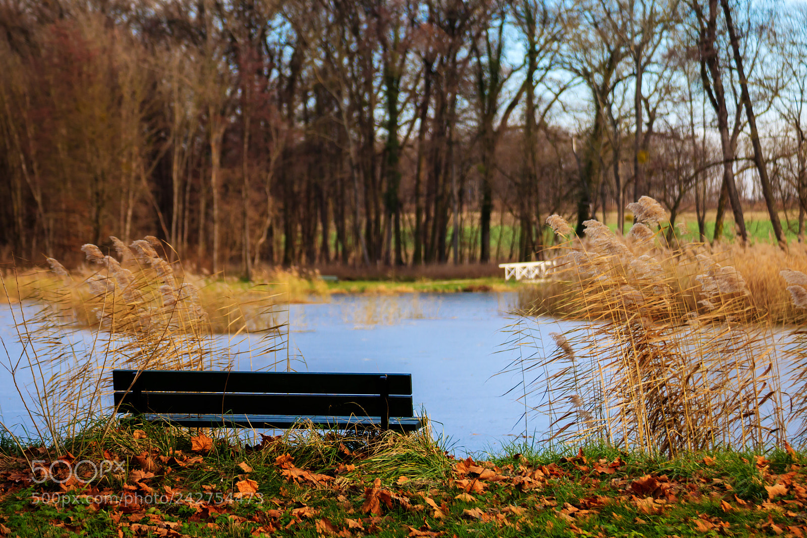 Canon EOS 750D (EOS Rebel T6i / EOS Kiss X8i) sample photo. A place to relax photography