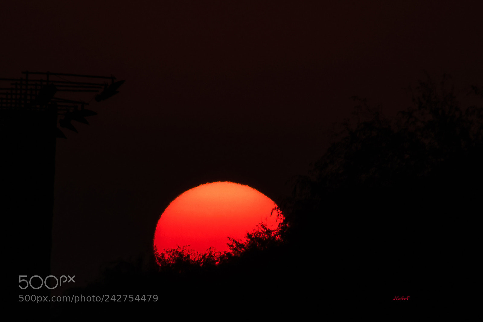 Canon EOS 750D (EOS Rebel T6i / EOS Kiss X8i) sample photo. Sunset photography