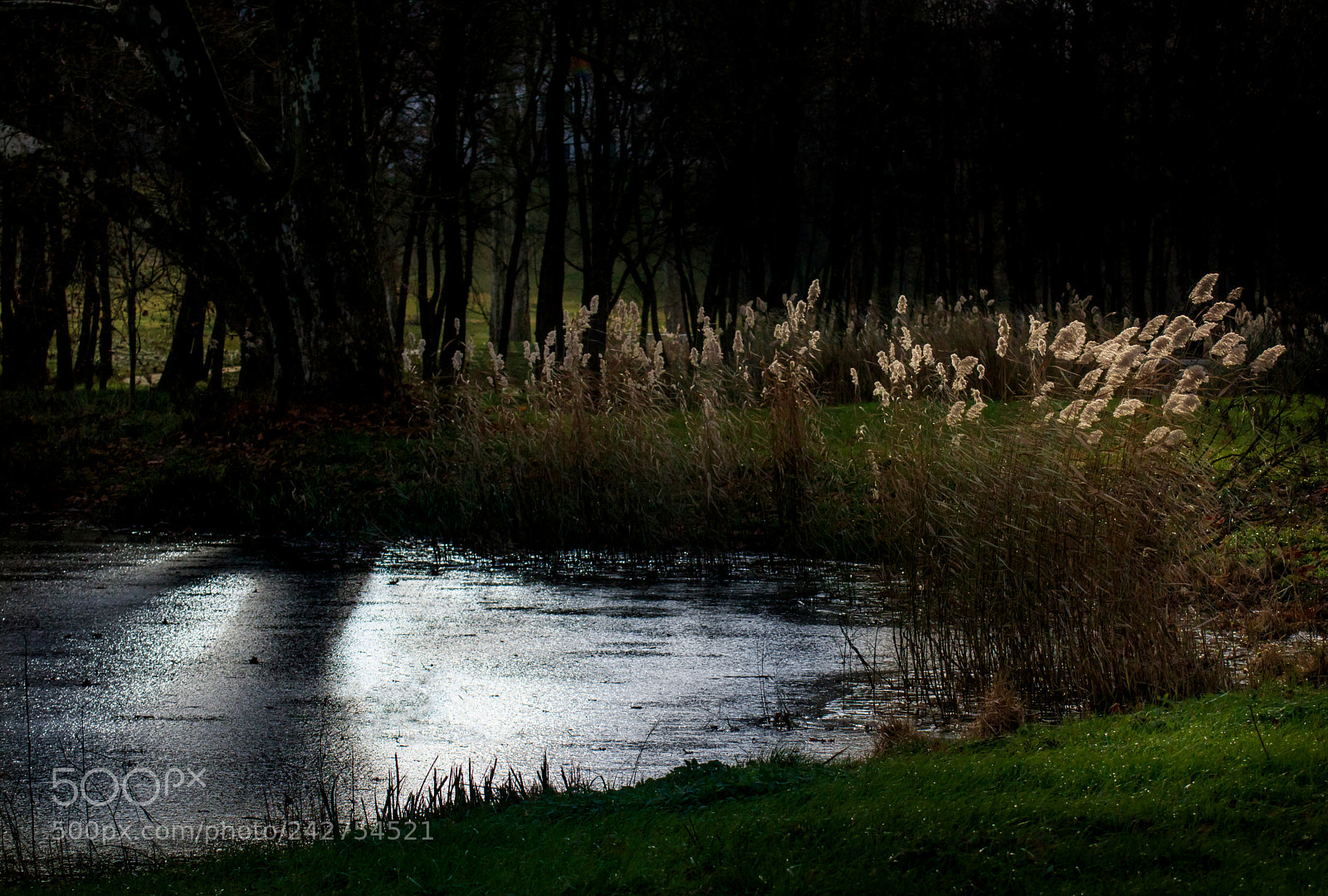 Canon EOS 750D (EOS Rebel T6i / EOS Kiss X8i) sample photo. Unusual lights photography