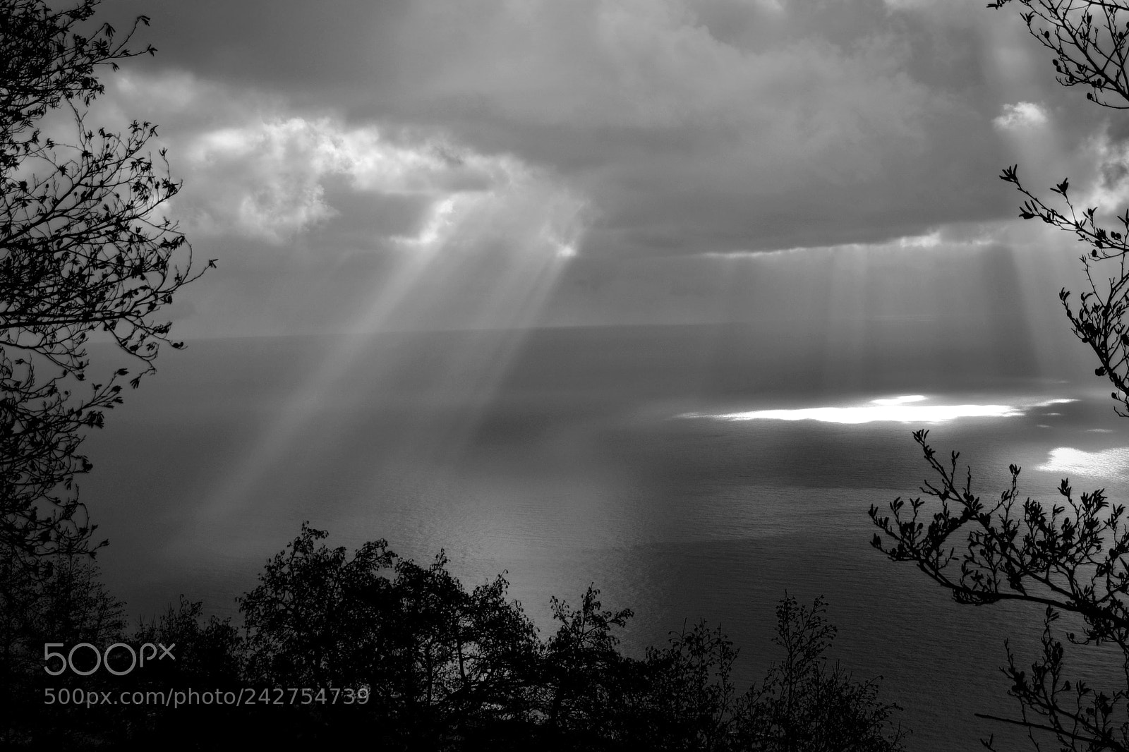 Nikon D3100 sample photo. Dramatic sky photography