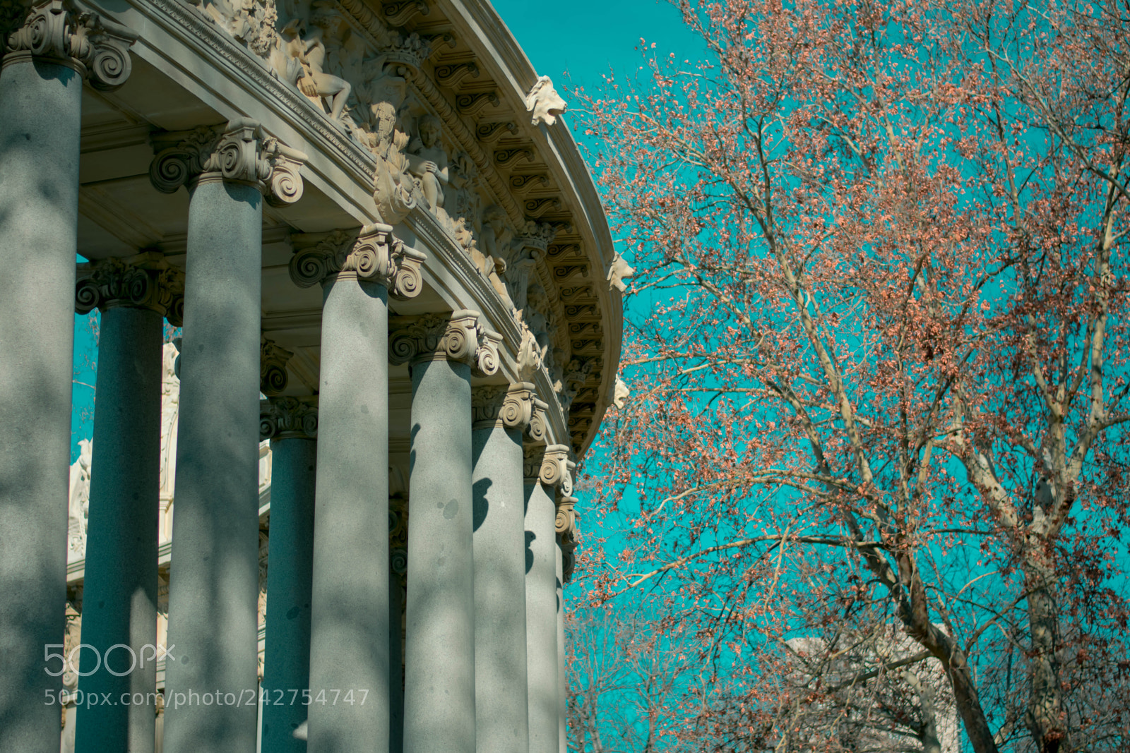 Nikon D3400 sample photo. Winter in madrid photography