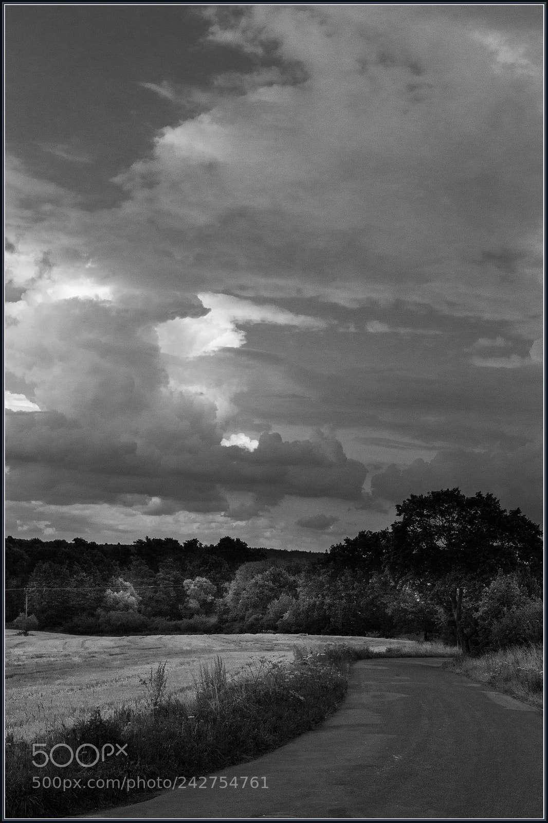 Nikon D5100 sample photo. Cesta / a road photography